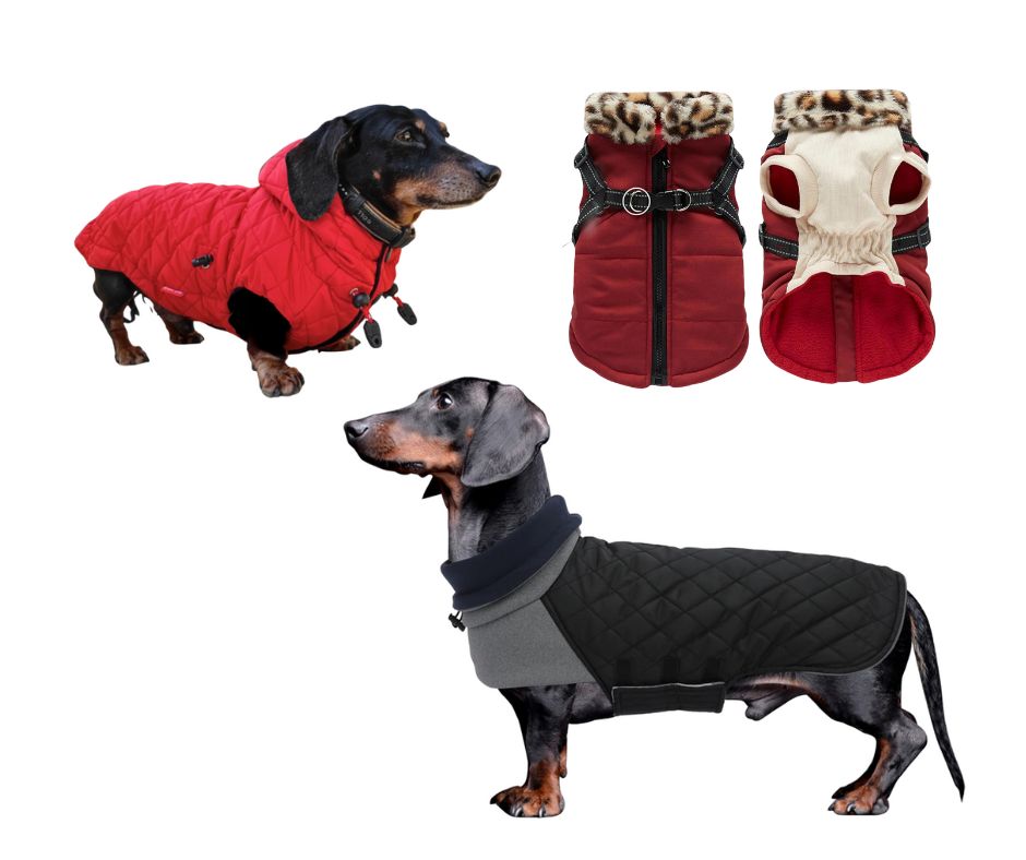 zimowe ubranka dla jamnika