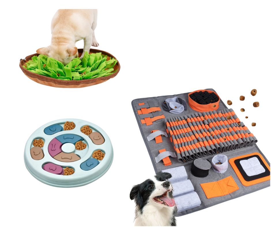 zabawki węchowe dla psów