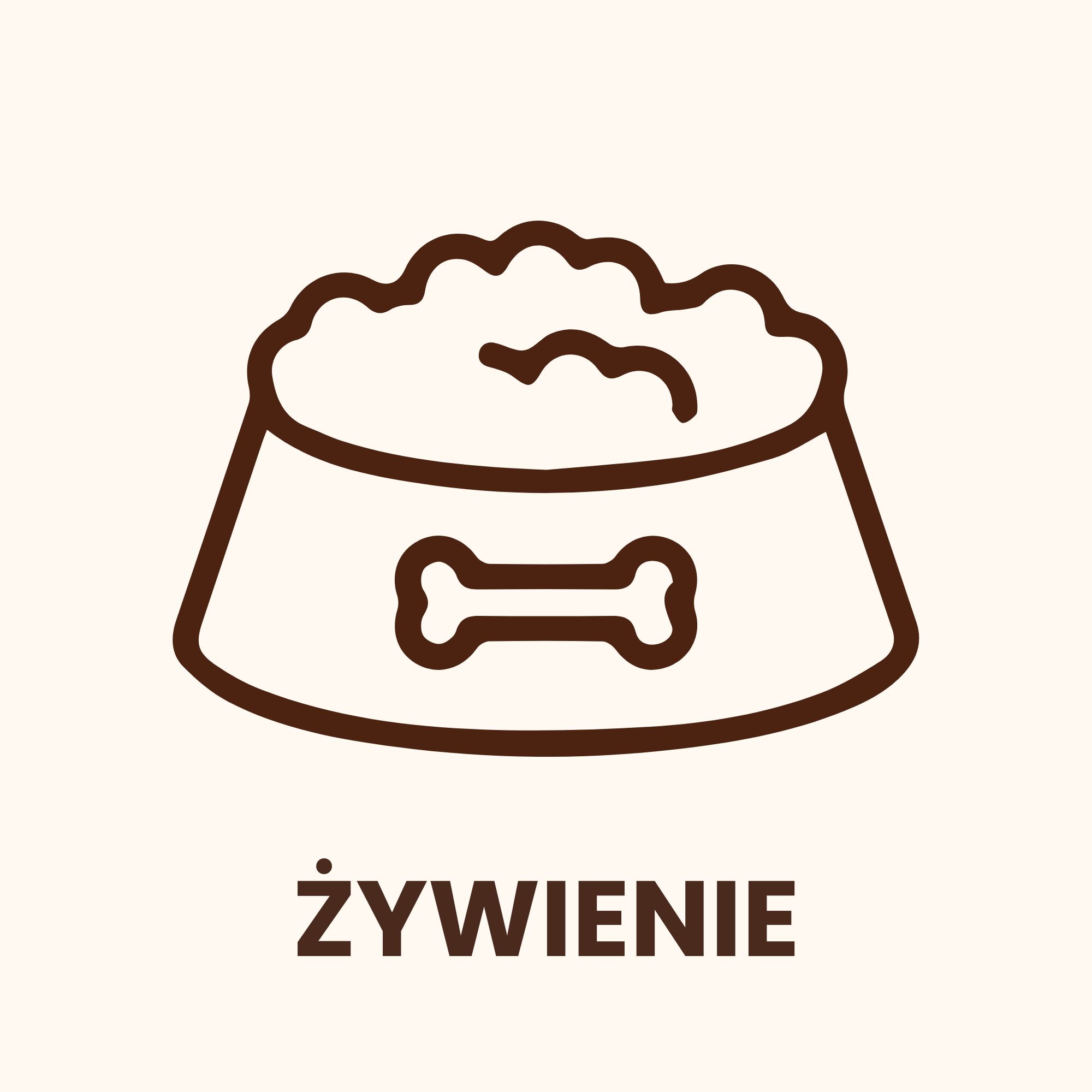 żywienie jamnika żywienie jamnika