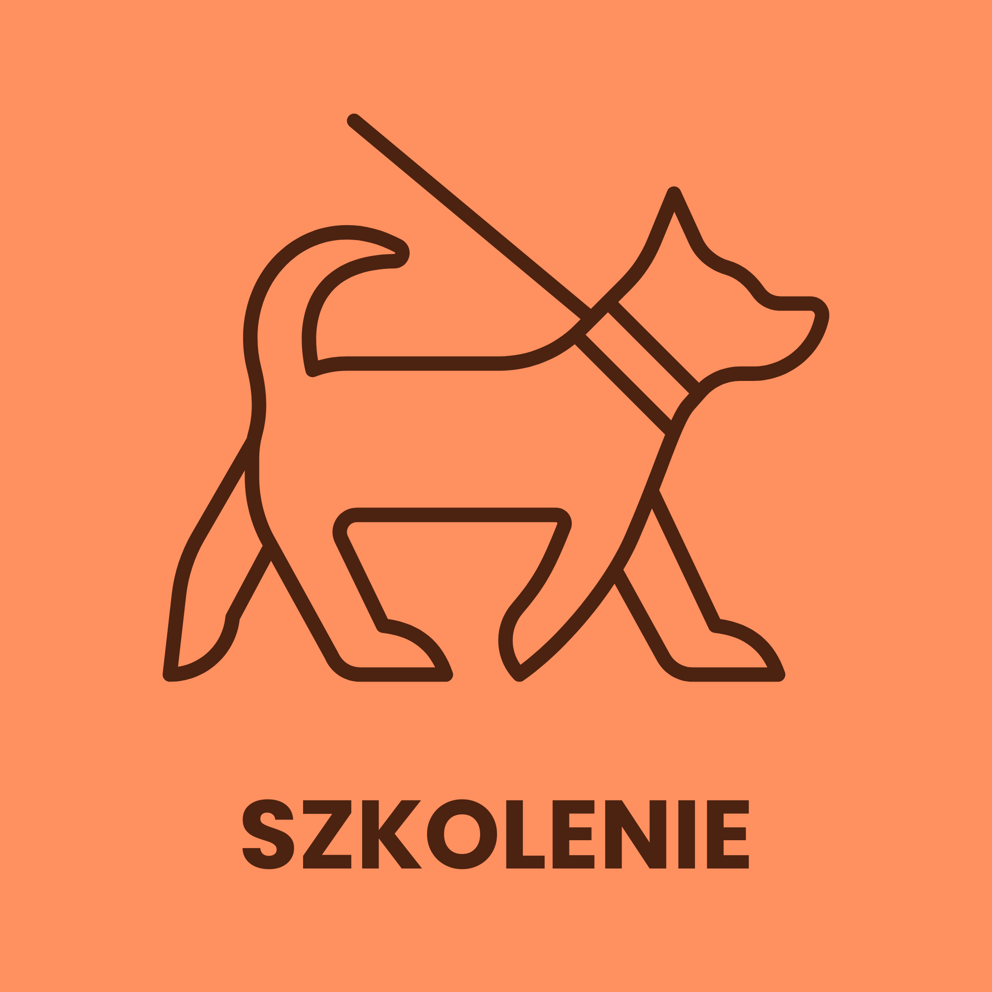 szkolenie i zachowanie