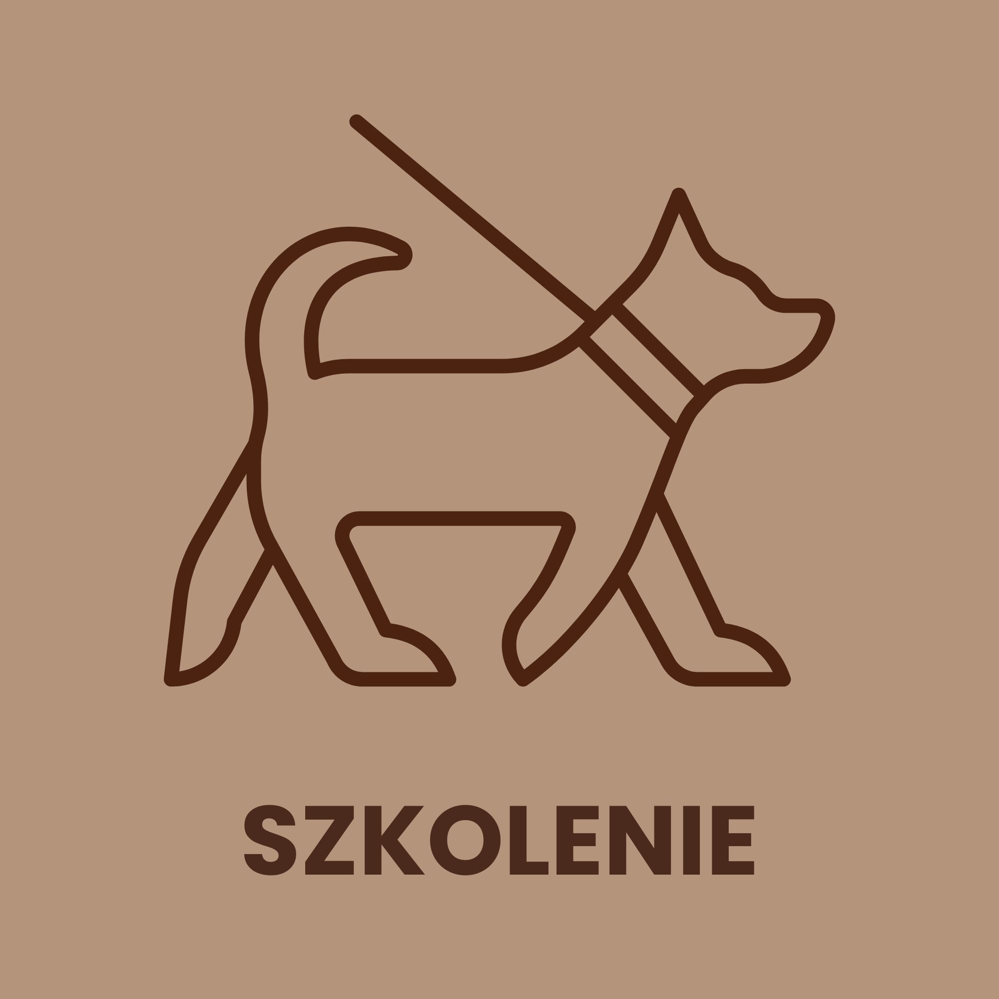 szkolenie jamnika szkolenie jamnika