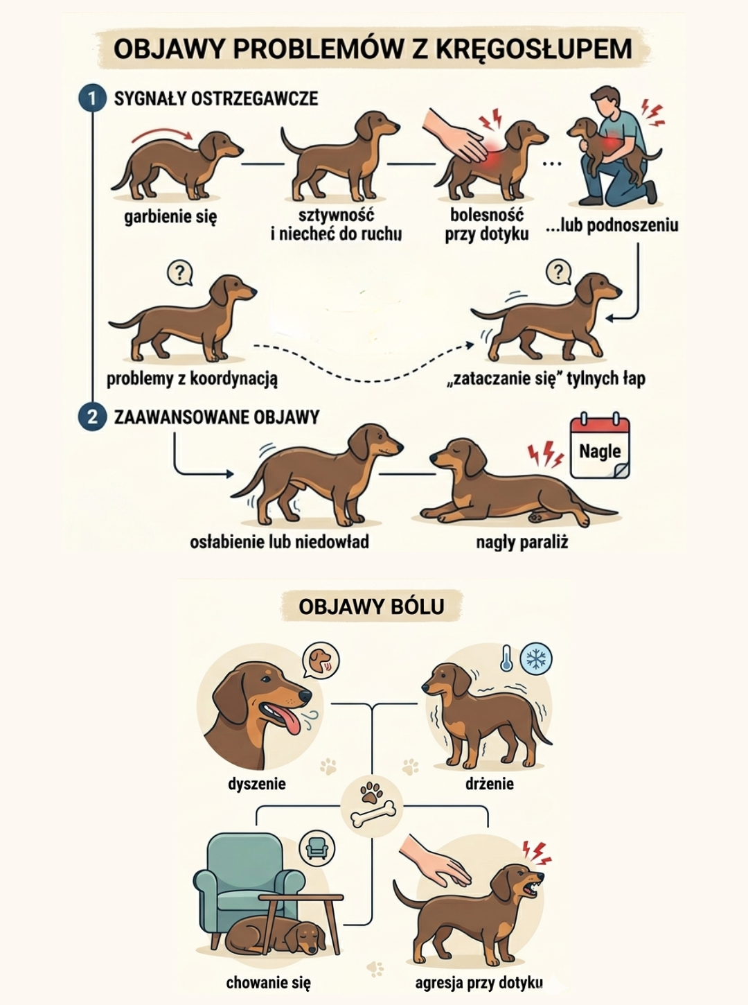 objawy problemow z kregoslupem