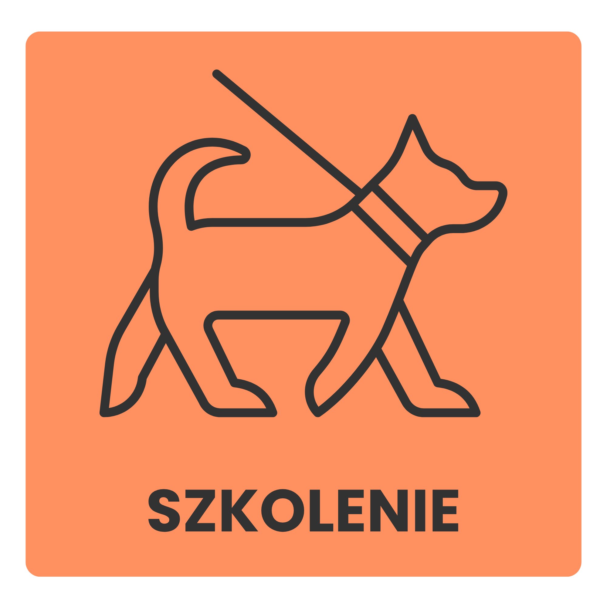 szkolenie i zachowanie