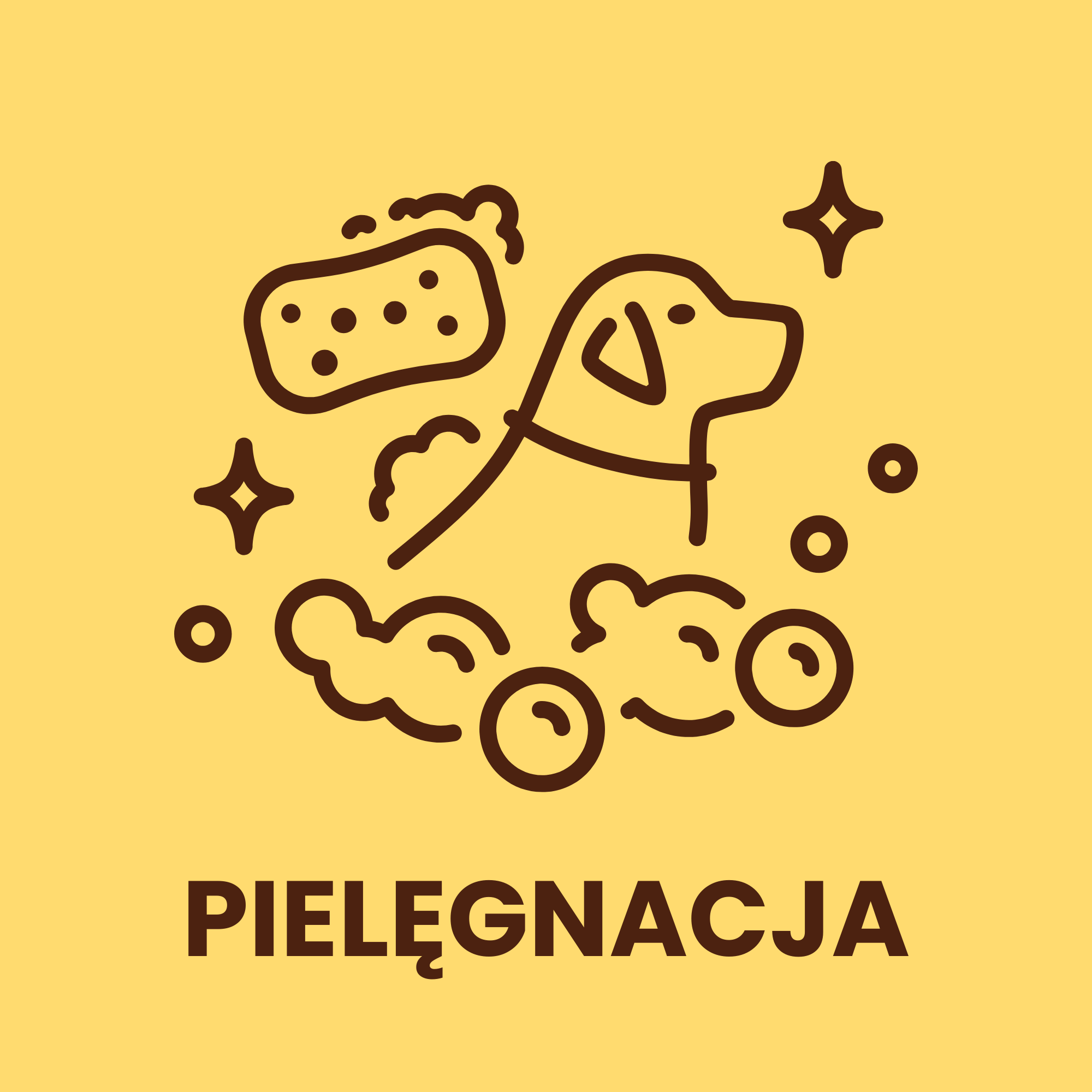 pielęgnacja jamnika