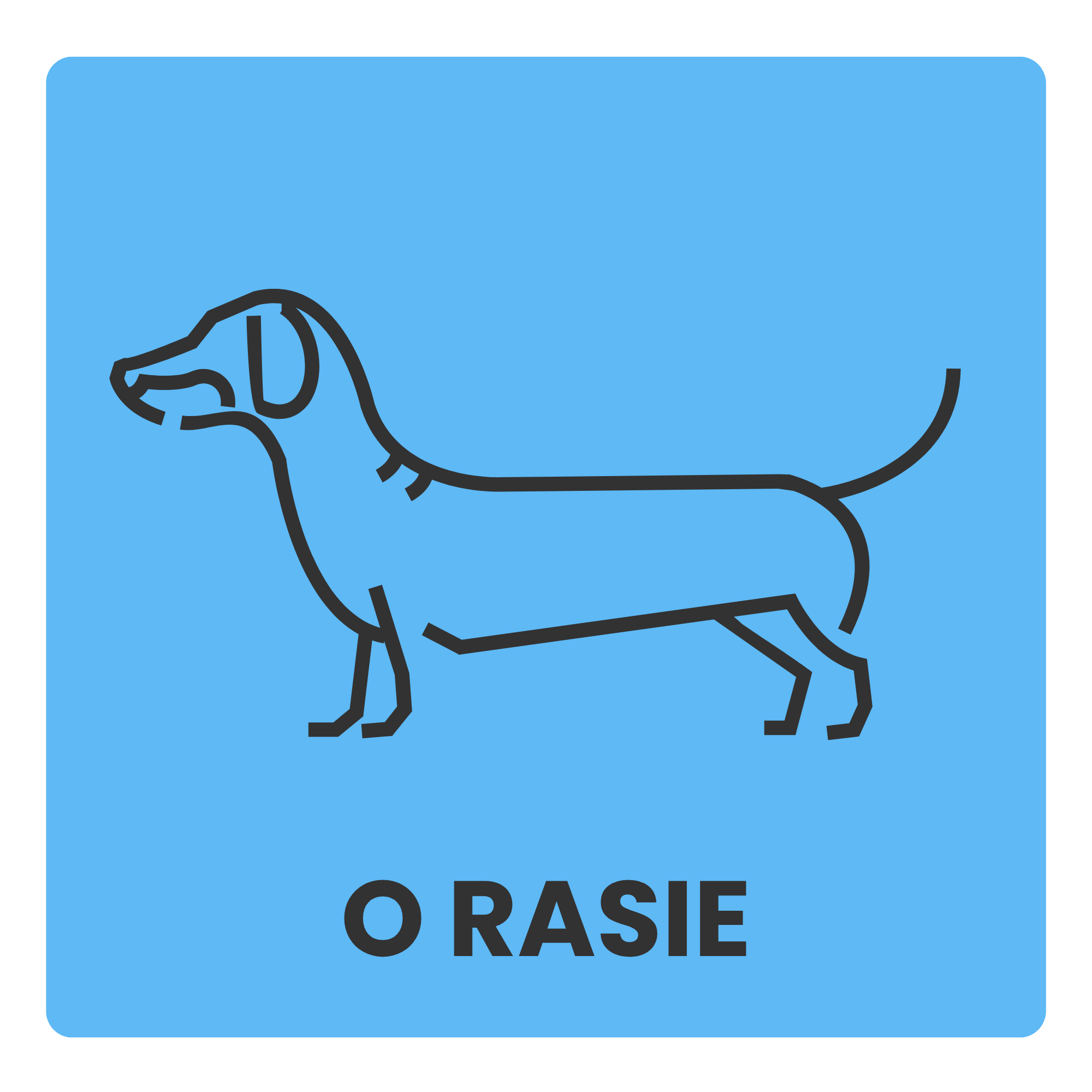 o rasie