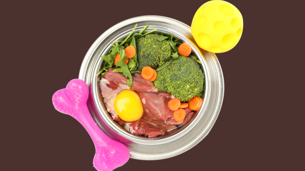 dieta barf dla jamnika