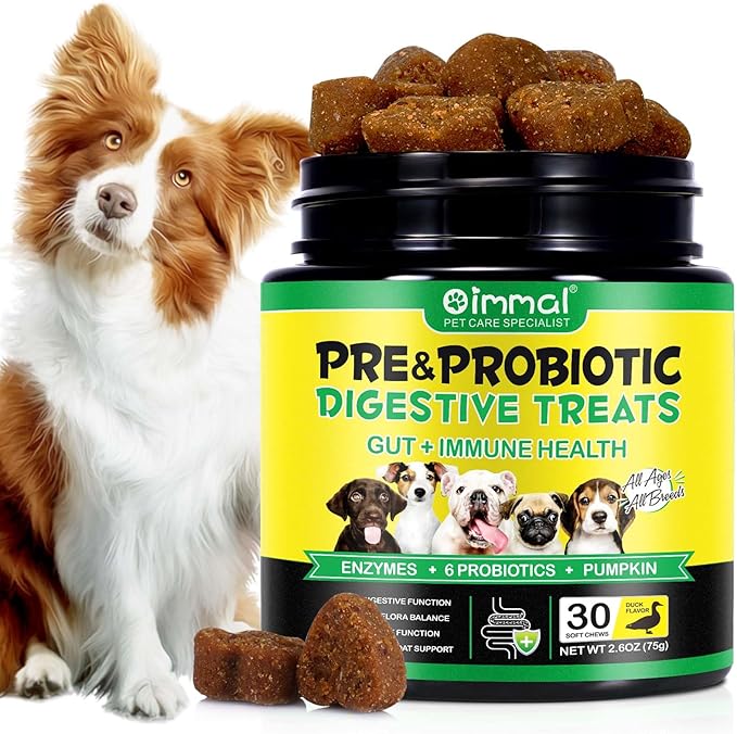 probiotyki dla psa